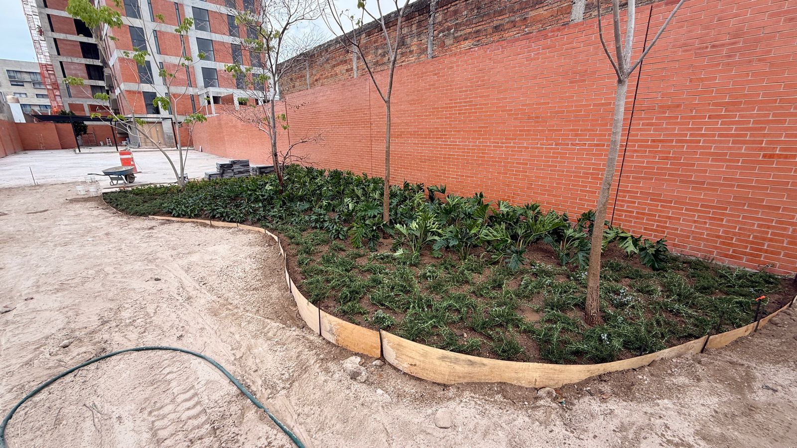 Imagen 5