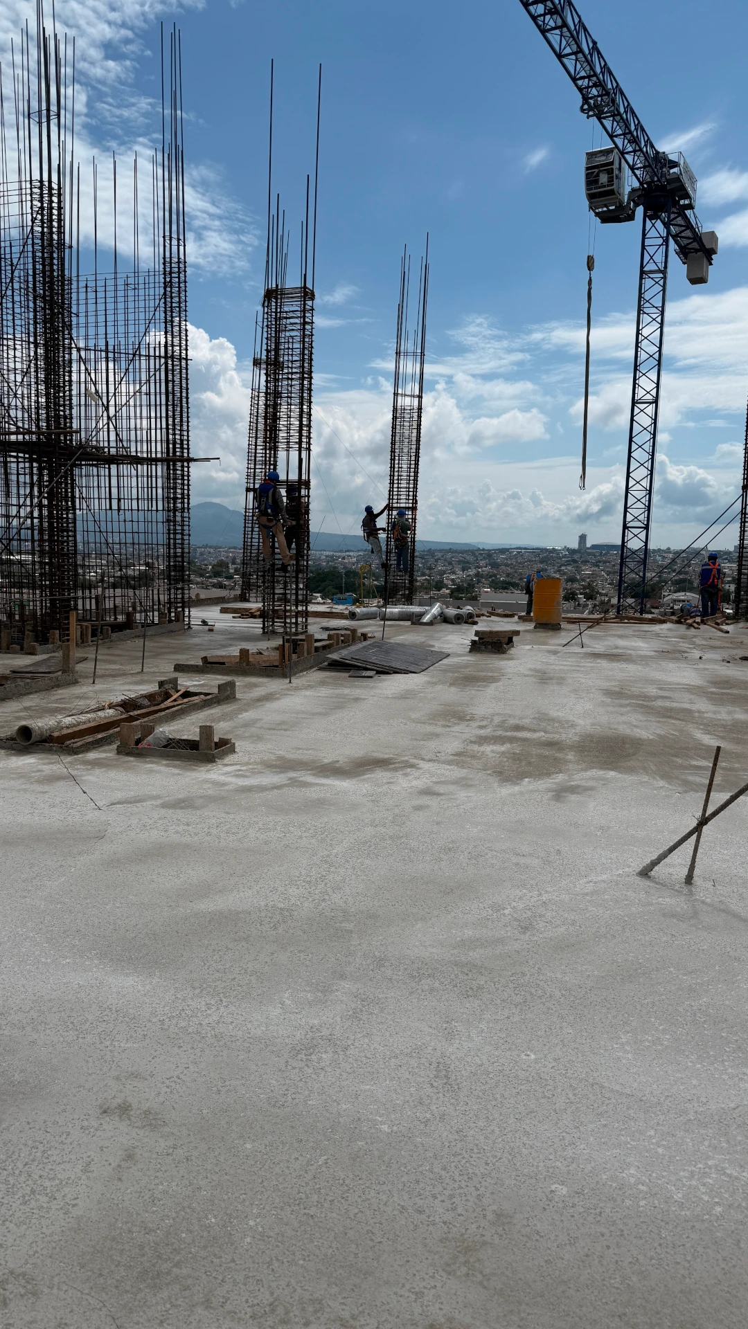 Imagen 5