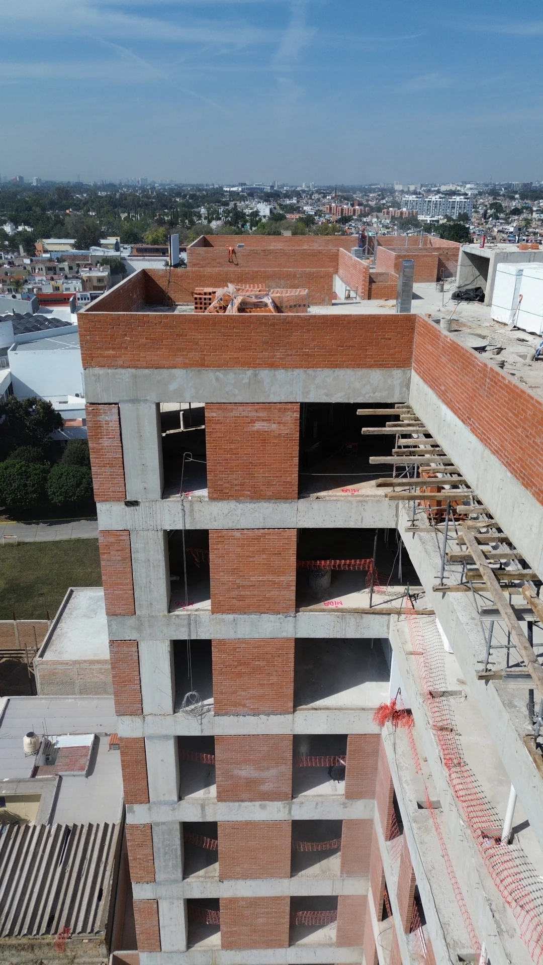 Imagen 5